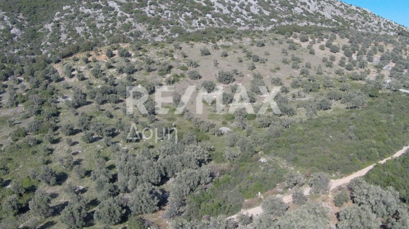 HouseFor Sale, Lafkos, Sipiada, Magnesia HouseFor Sale, Lafkos, Sipiada, Magnesia
