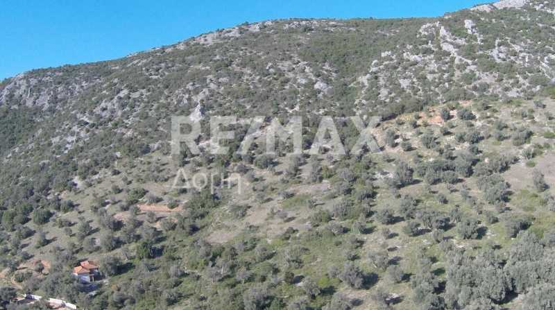 HouseFor Sale, Lafkos, Sipiada, Magnesia HouseFor Sale, Lafkos, Sipiada, Magnesia
