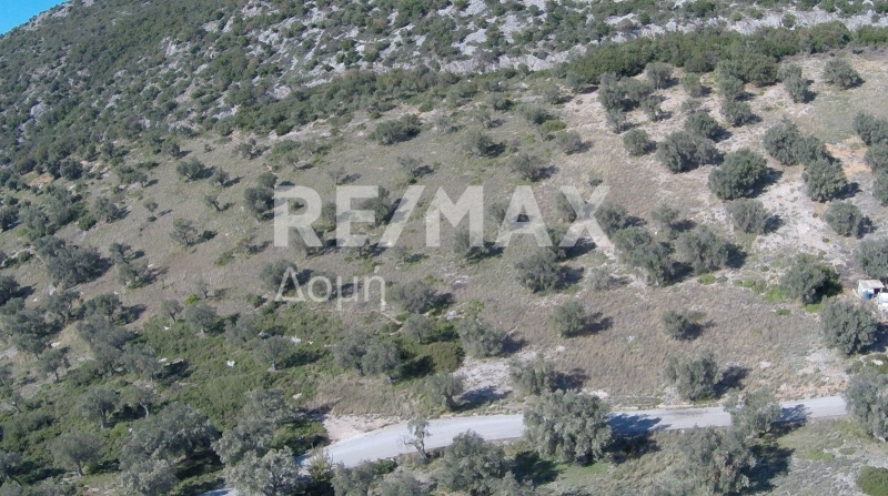HouseFor Sale, Lafkos, Sipiada, Magnesia HouseFor Sale, Lafkos, Sipiada, Magnesia