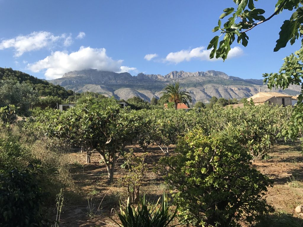 Altea, Alicante, 4 Bedrooms Bedrooms, ,For Sale,MAS0872 - OPF