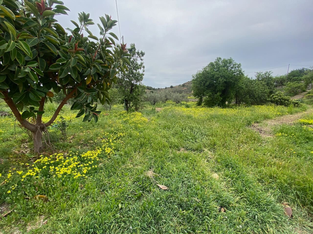 Altea, Alicante, 4 Bedrooms Bedrooms, ,For Sale,MAS0872 - OPF