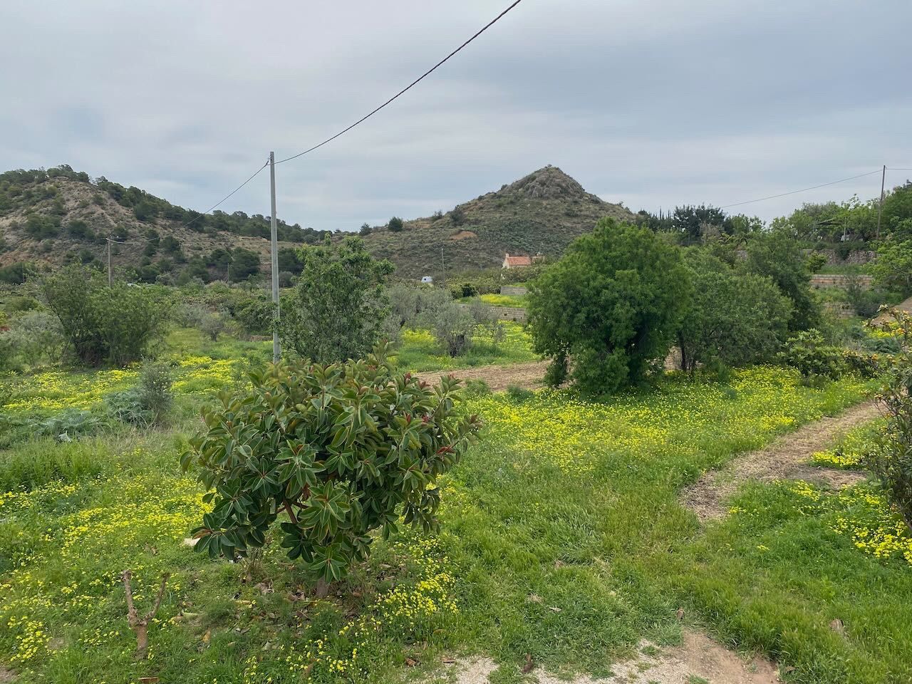 Altea, Alicante, 4 Bedrooms Bedrooms, ,For Sale,MAS0872 - OPF