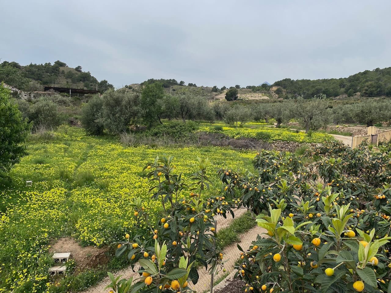 Altea, Alicante, 4 Bedrooms Bedrooms, ,For Sale,MAS0872 - OPF