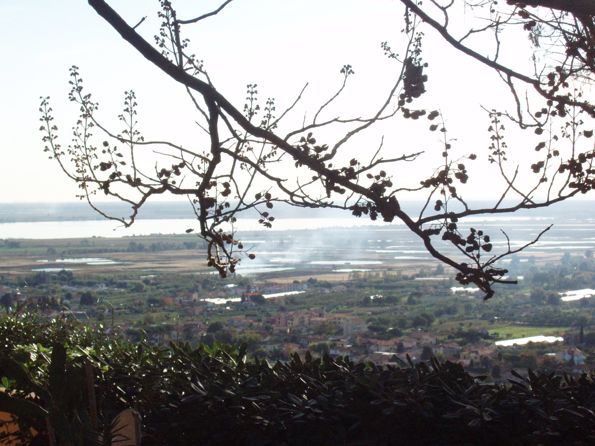 2 Bed, HouseFor Sale, Massarosa, Lucca, Toscana 2 Bed, HouseFor Sale, Massarosa, Lucca, Toscana