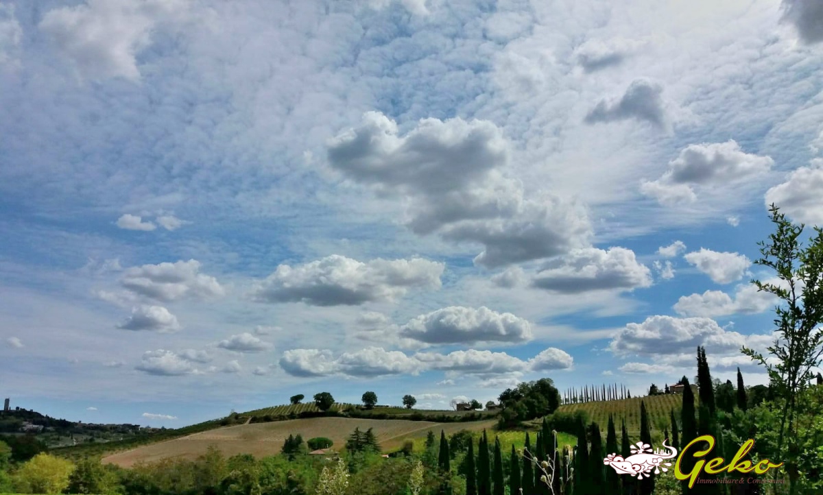 9 Bed, HouseFor Sale, San Gimignano, Siena, Toscana