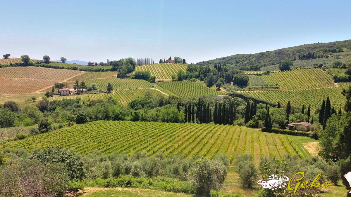 9 Bed, HouseFor Sale, San Gimignano, Siena, Toscana