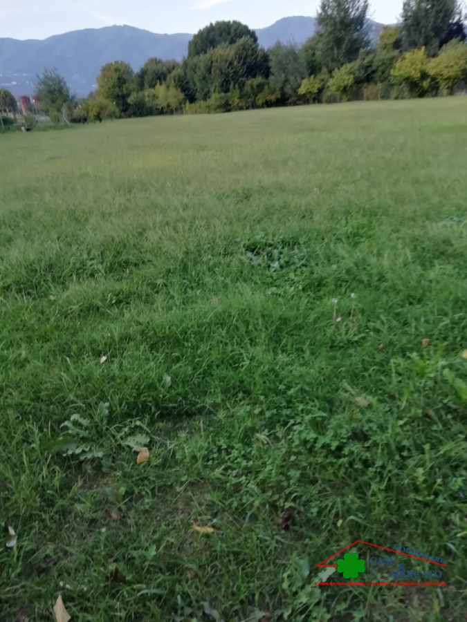 4 Bed, HouseFor Sale, Lucca, Toscana