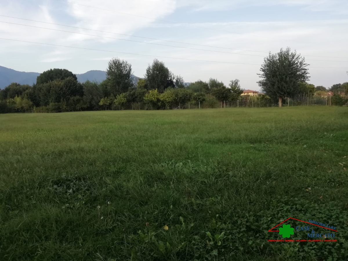 4 Bed, HouseFor Sale, Lucca, Toscana