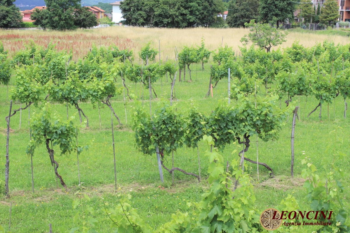 2 Bed, HouseFor Sale, Filetto, Toscana