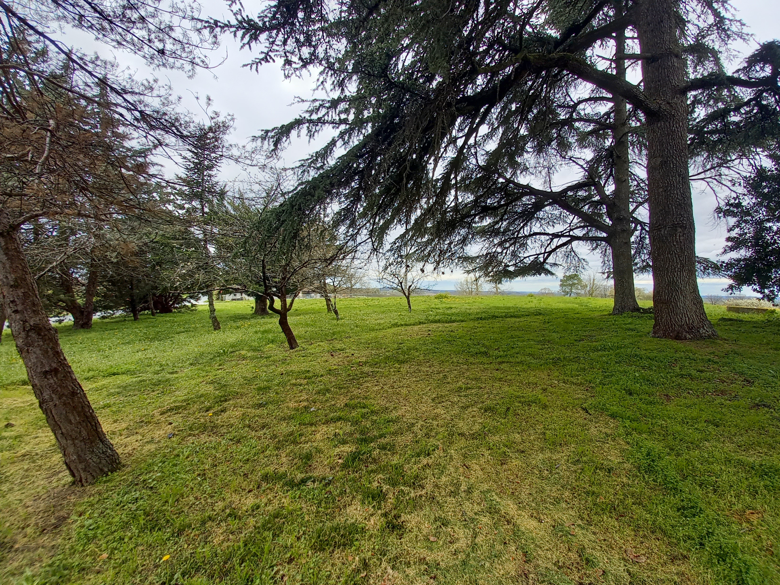 3 Bed, 1 Bath, HouseFor Sale, Monbahus, Lot-et-Garonne, Aquitaine, 47290