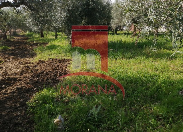 1 Bed, HouseFor Sale, Valderice, Trapani, Sicilia