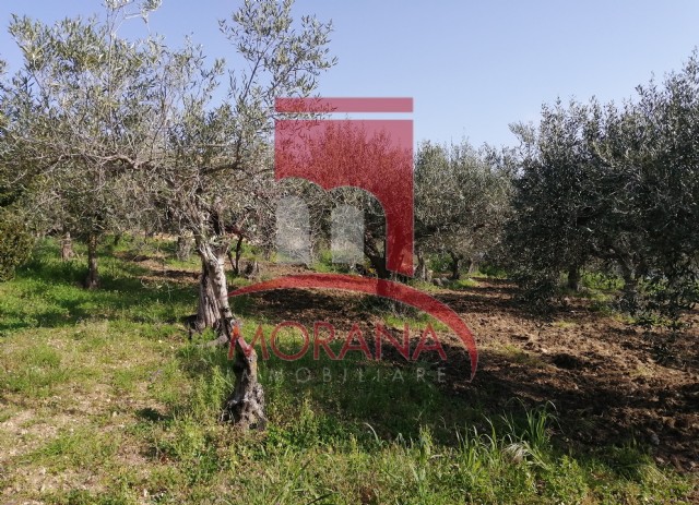 1 Bed, HouseFor Sale, Valderice, Trapani, Sicilia