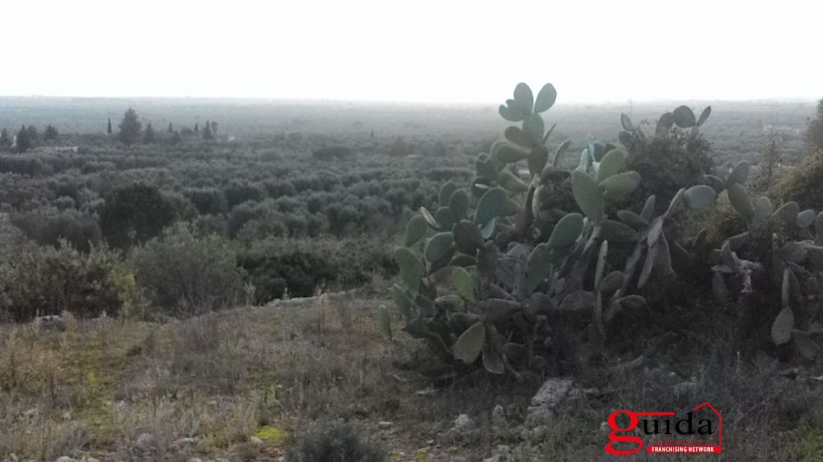 Land, For Sale Land, For Sale