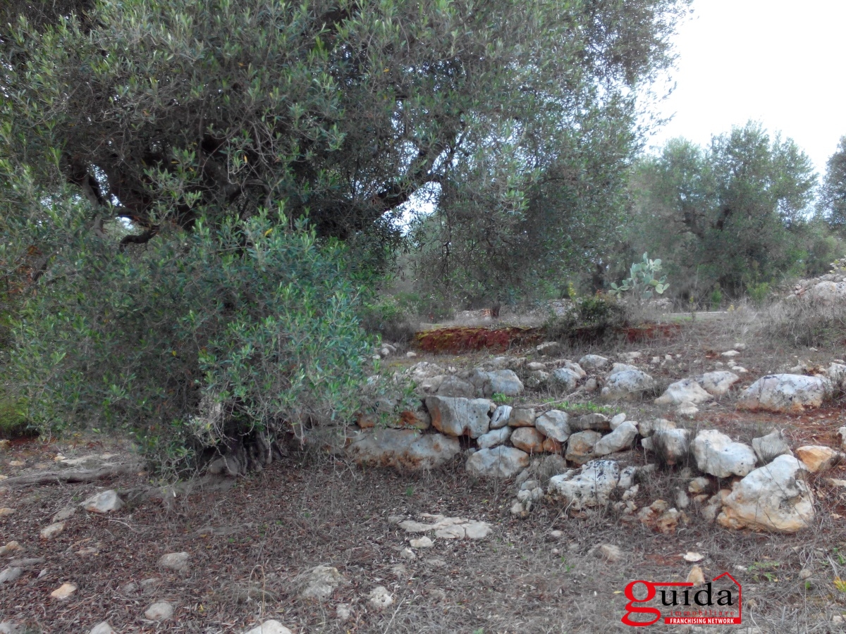 Land, For Sale Land, For Sale