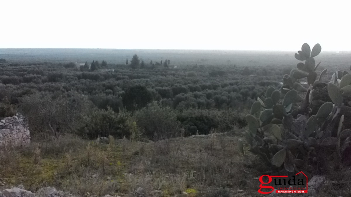 Land, For Sale Land, For Sale