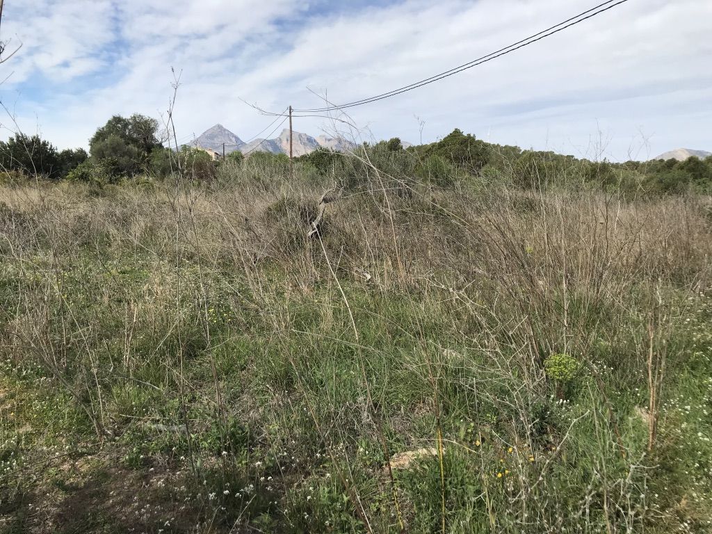 Altea, Alicante, ,For Sale,PAR0891 - OPF