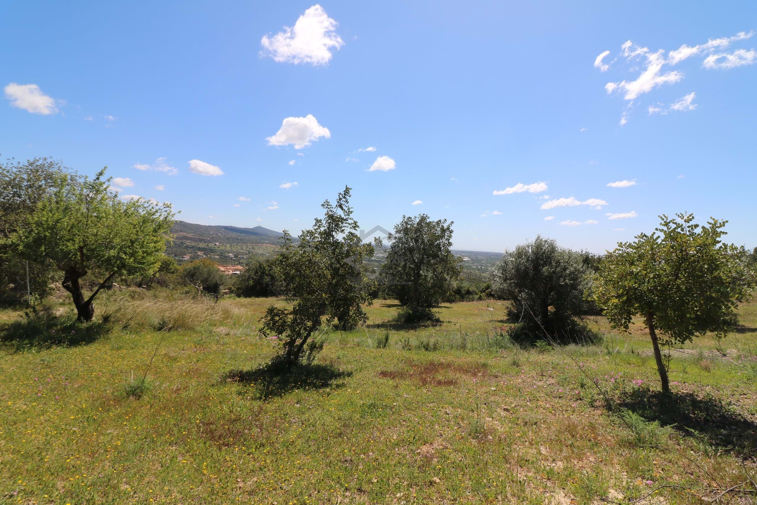 Land, For Sale