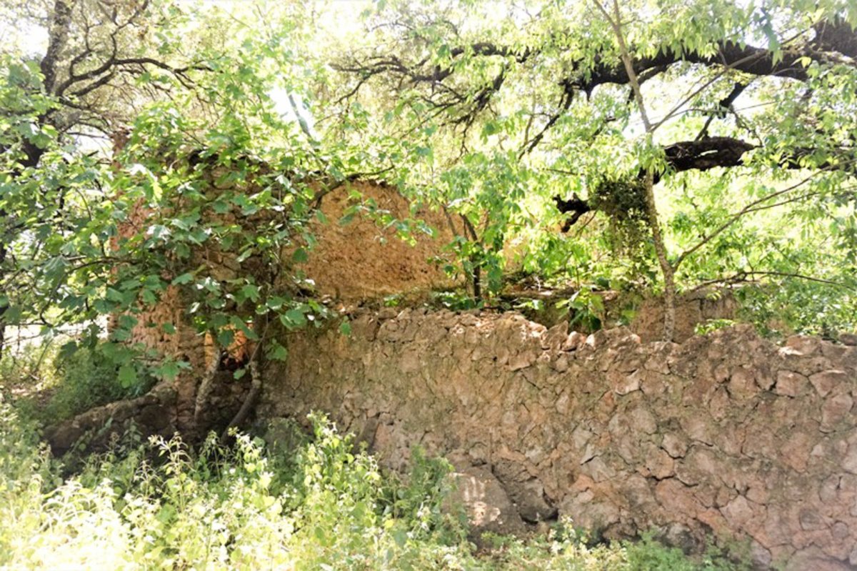 Land, For Sale Land, For Sale