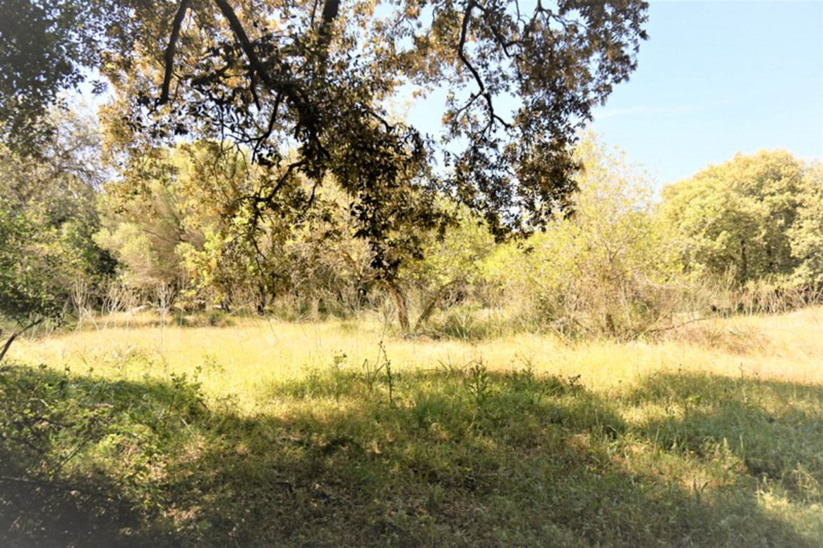 Land, For Sale Land, For Sale