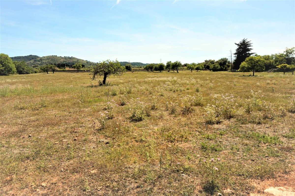 Land, For Sale Land, For Sale