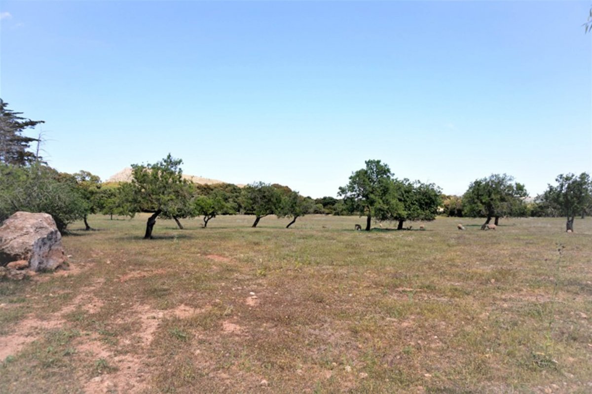 Land, For Sale Land, For Sale