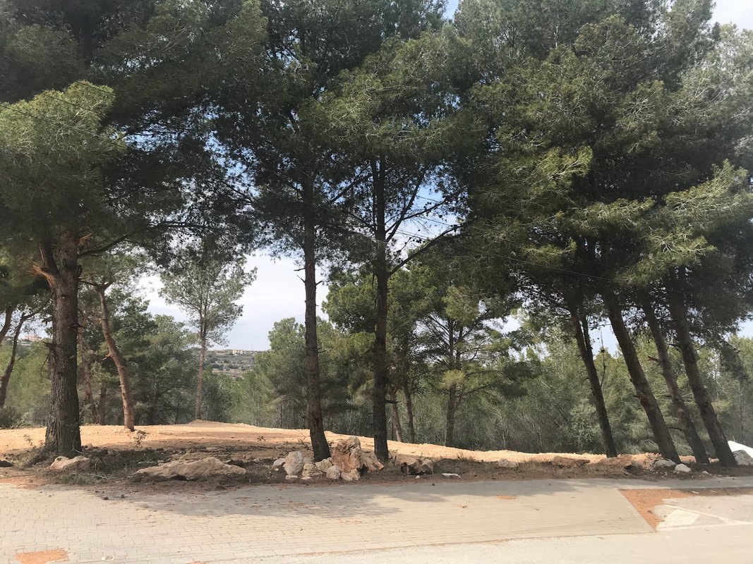Land, For Sale Land, For Sale