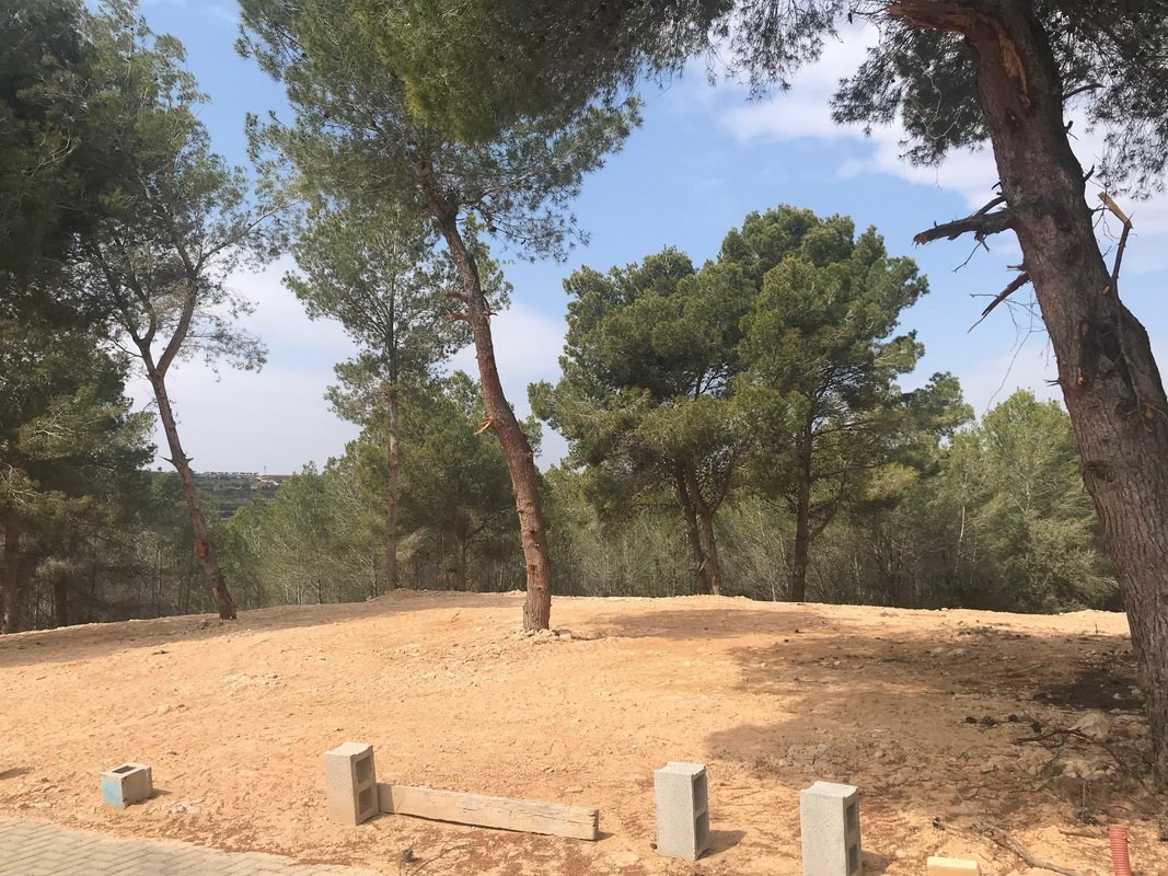 Land, For Sale Land, For Sale