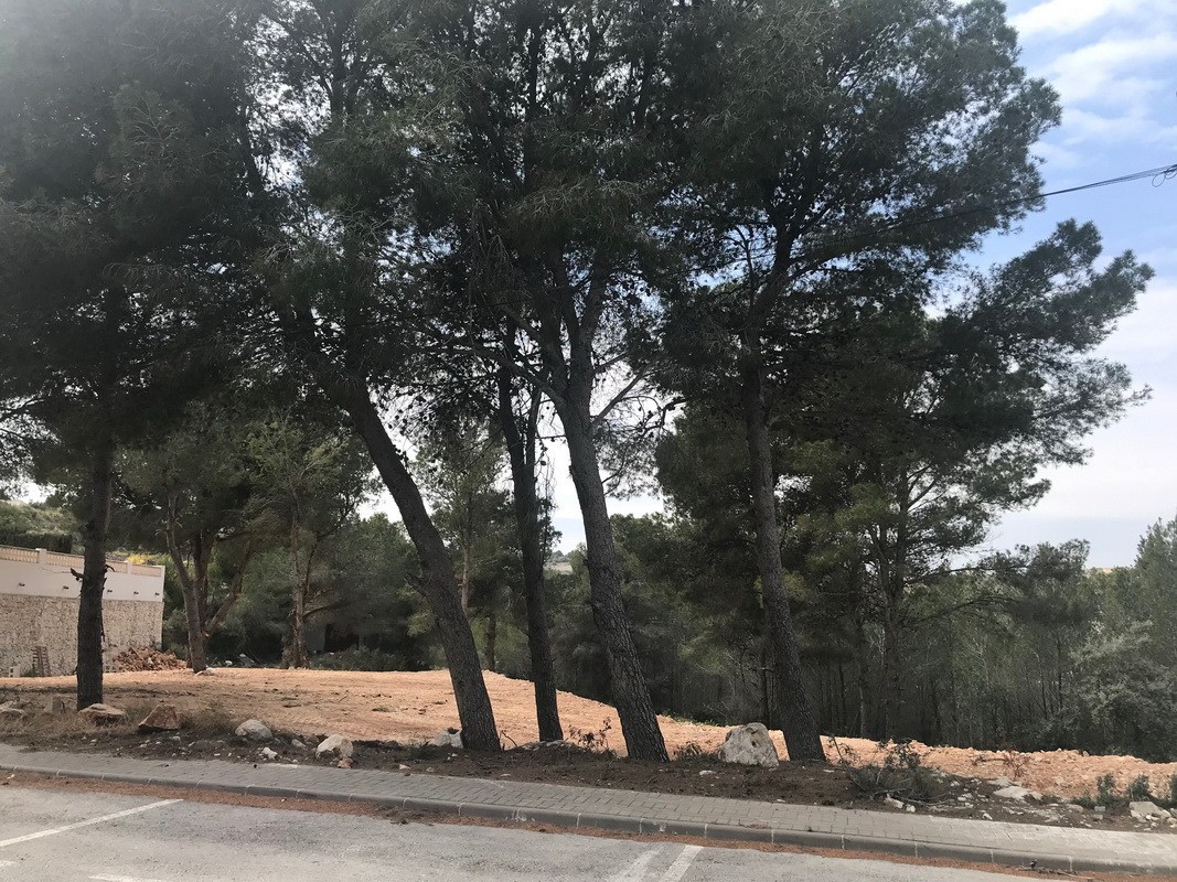 Land, For Sale Land, For Sale