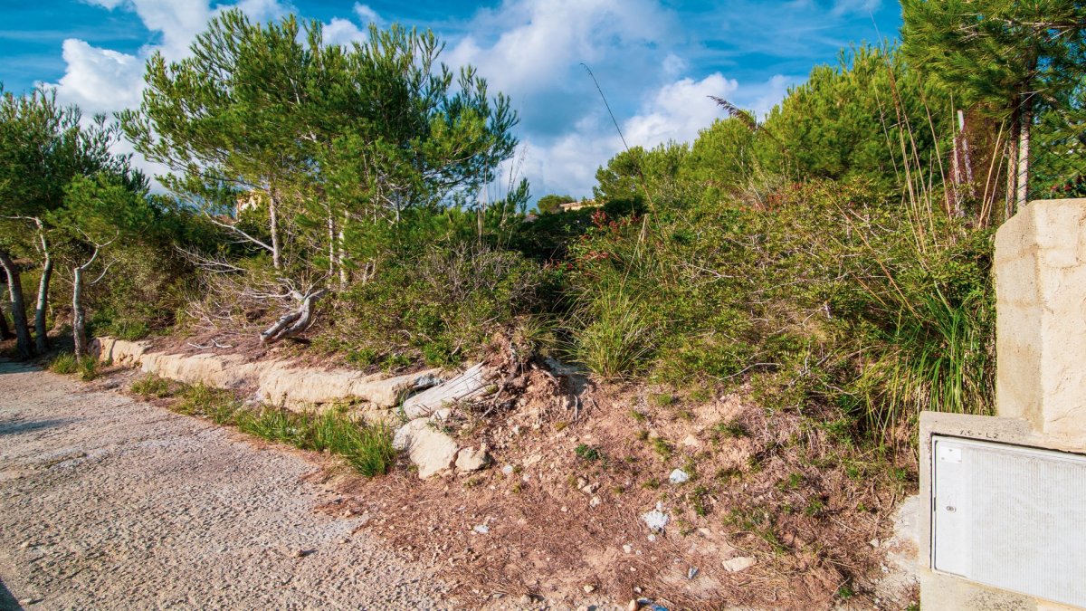 Land, For Sale Land, For Sale