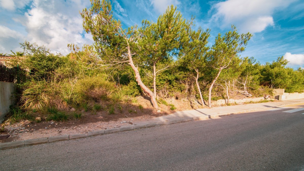 Land, For Sale Land, For Sale