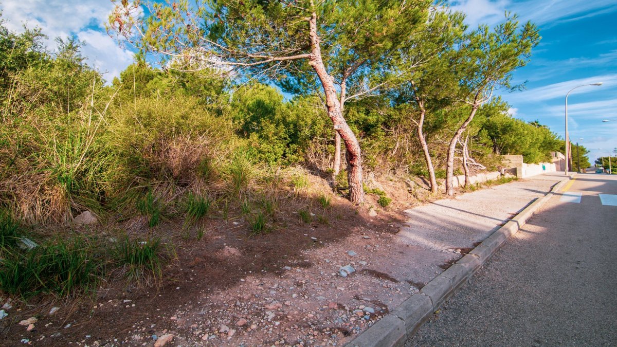 Land, For Sale Land, For Sale