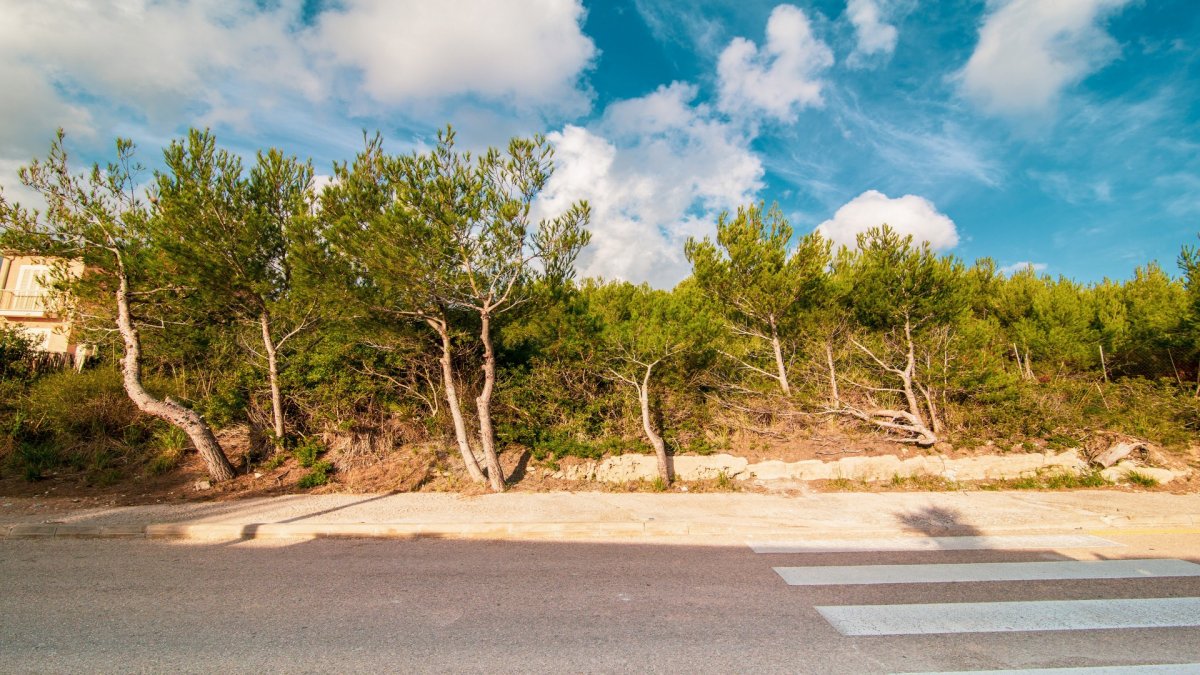 Land, For Sale Land, For Sale