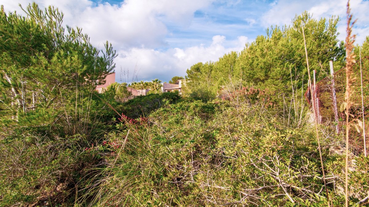 Land, For Sale Land, For Sale