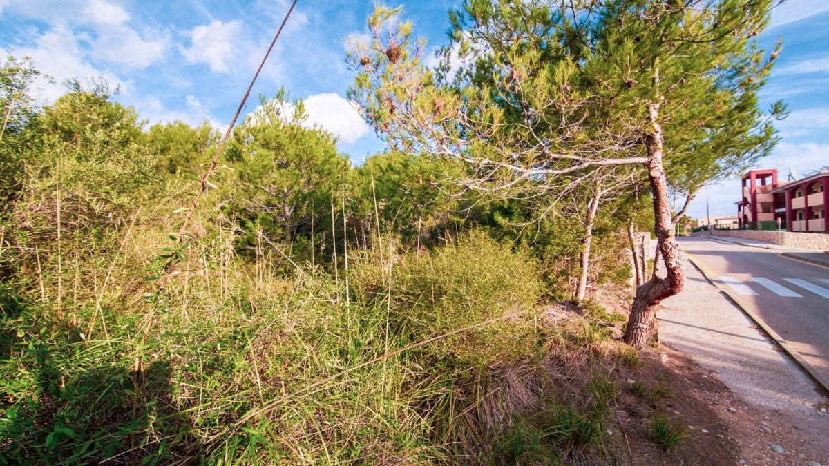 Land, For Sale Land, For Sale