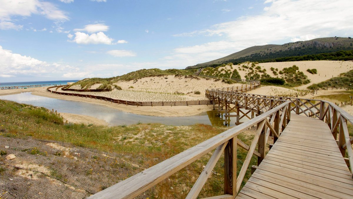 Land, For Sale Land, For Sale