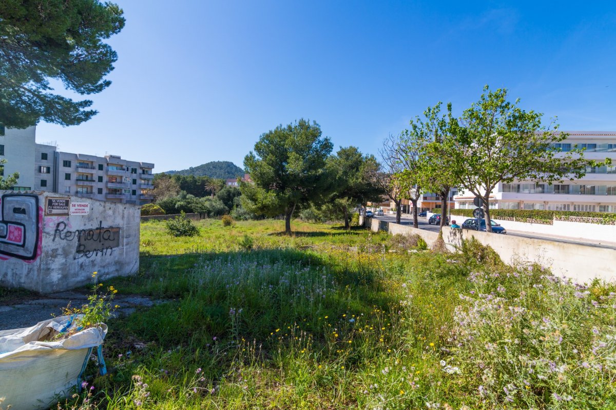 Land, For Sale Land, For Sale