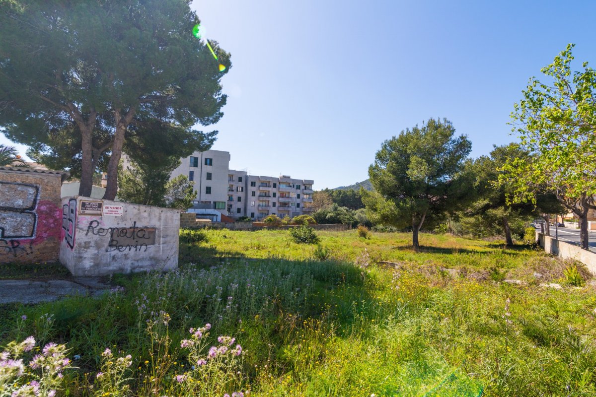 Land, For Sale Land, For Sale