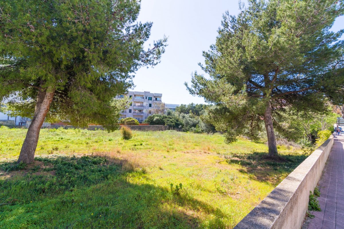 Land, For Sale Land, For Sale