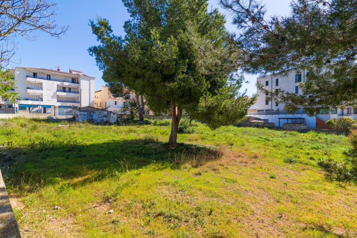 Land, For Sale Land, For Sale