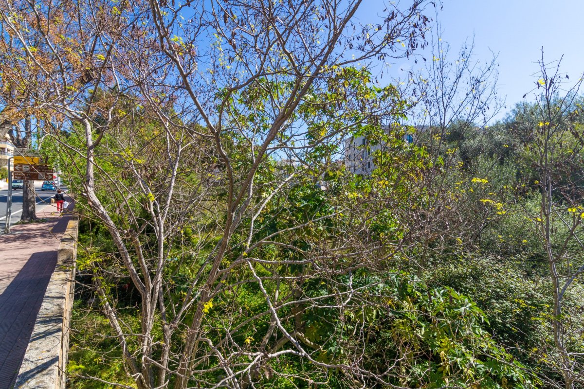 Land, For Sale Land, For Sale