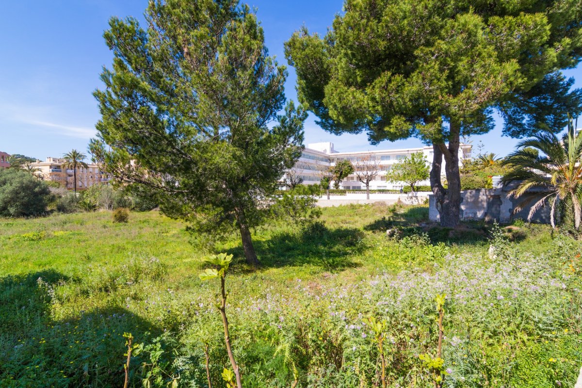 Land, For Sale Land, For Sale