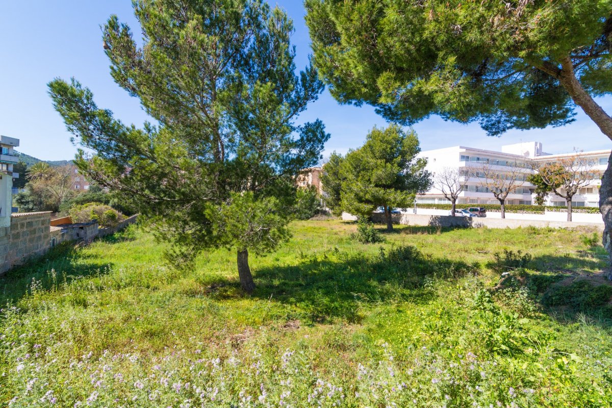 Land, For Sale Land, For Sale