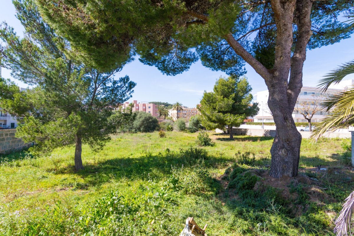 Land, For Sale Land, For Sale