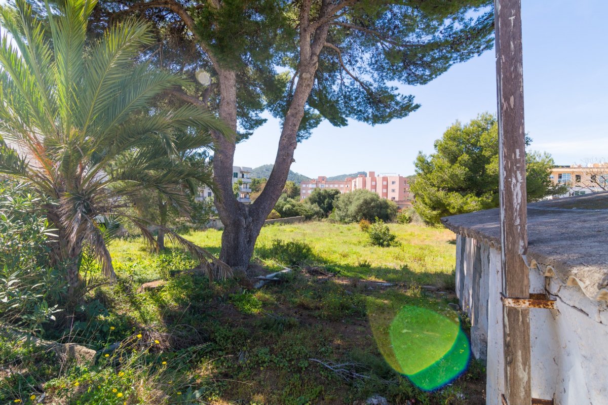 Land, For Sale Land, For Sale