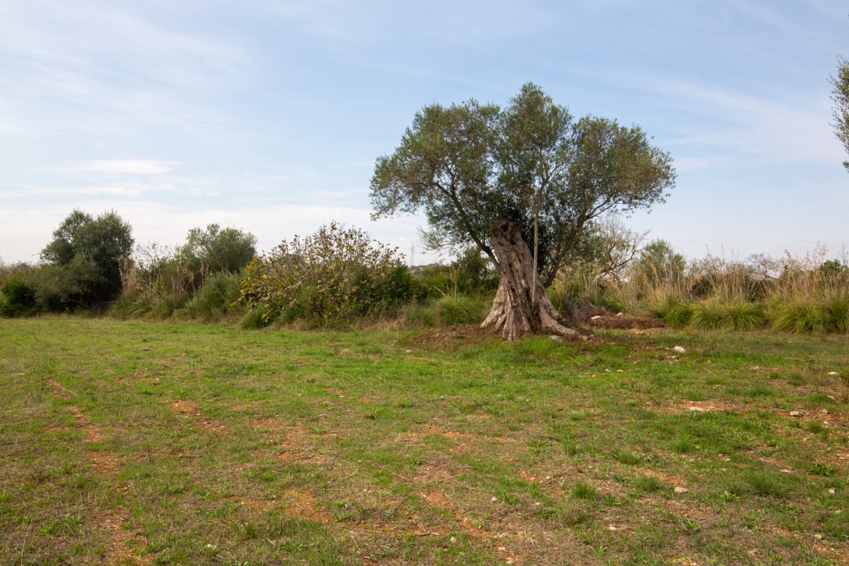 HouseFor Sale, Capdepera, Baleares HouseFor Sale, Capdepera, Baleares