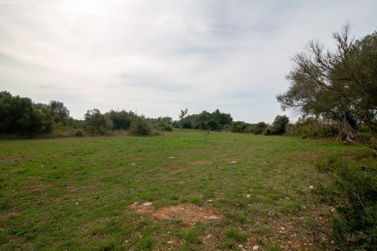 HouseFor Sale, Capdepera, Baleares HouseFor Sale, Capdepera, Baleares