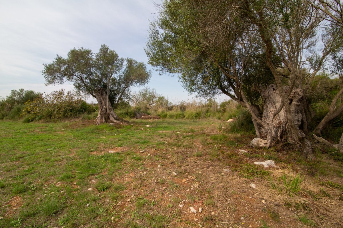 HouseFor Sale, Capdepera, Baleares HouseFor Sale, Capdepera, Baleares
