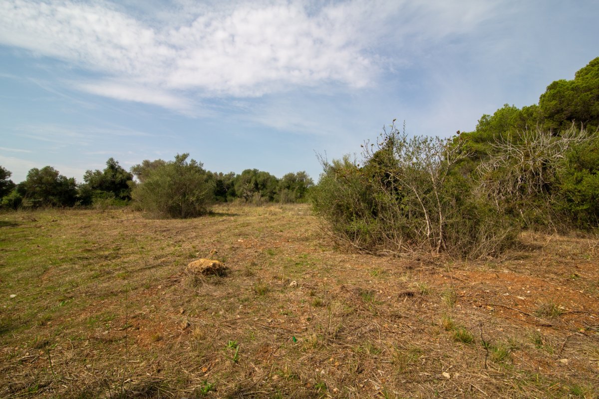 HouseFor Sale, Capdepera, Baleares HouseFor Sale, Capdepera, Baleares