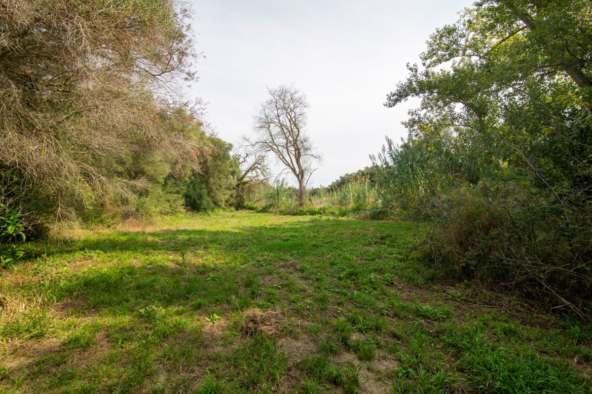 HouseFor Sale, Capdepera, Baleares HouseFor Sale, Capdepera, Baleares