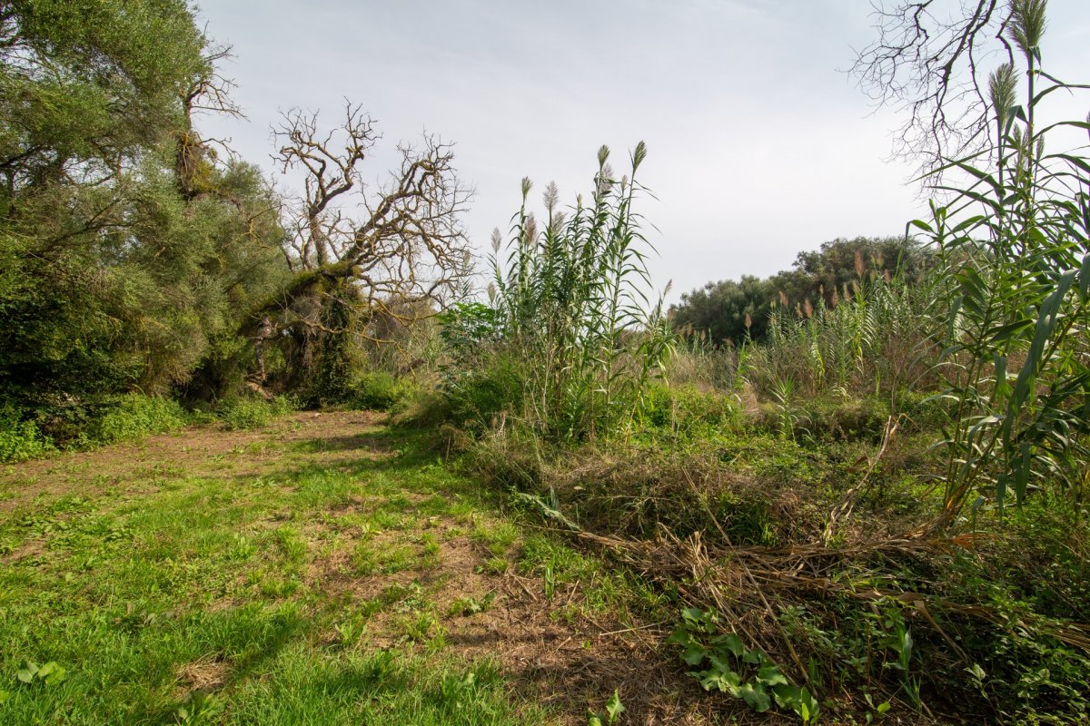 HouseFor Sale, Capdepera, Baleares HouseFor Sale, Capdepera, Baleares